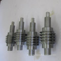 High Quality Worm Gear as Auto Parts in China